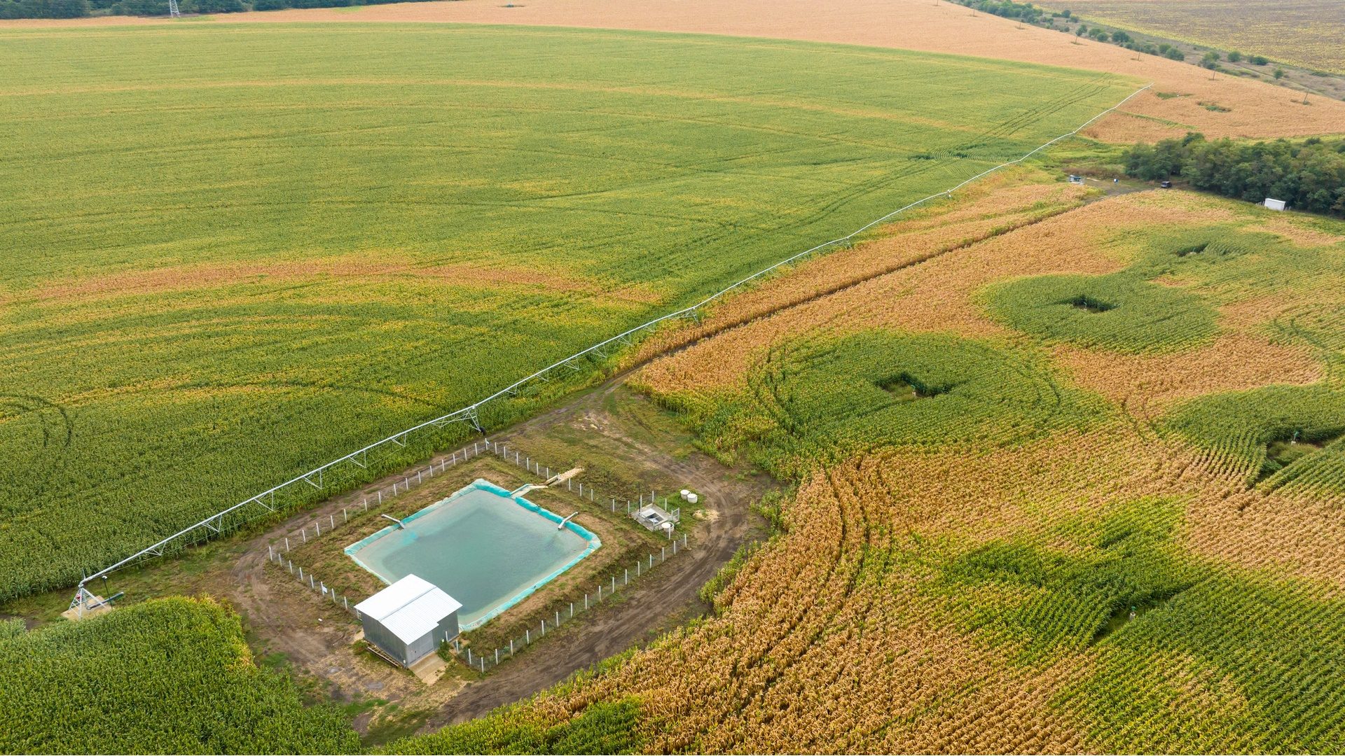 Modern pivot irrigation system with a well in cornfield. A sprinkler system, agriculture technology.