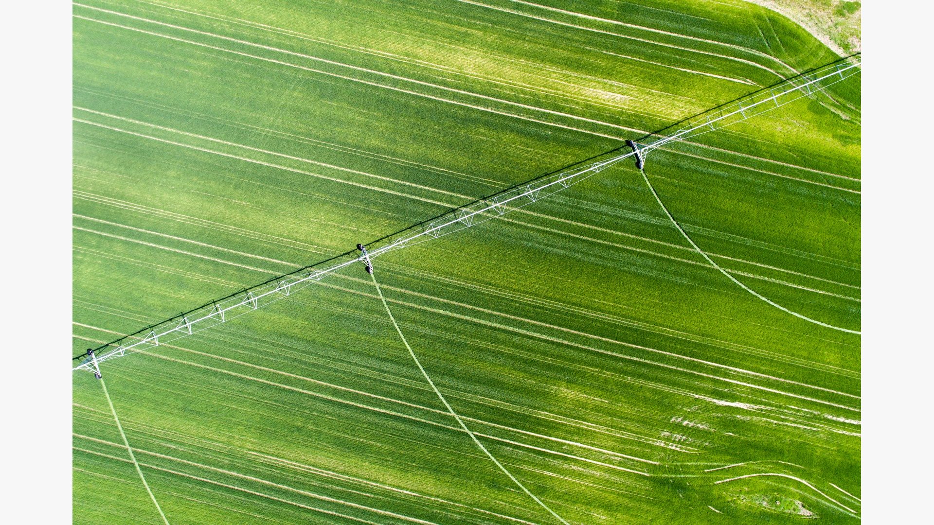 Irrigation system in wheat field