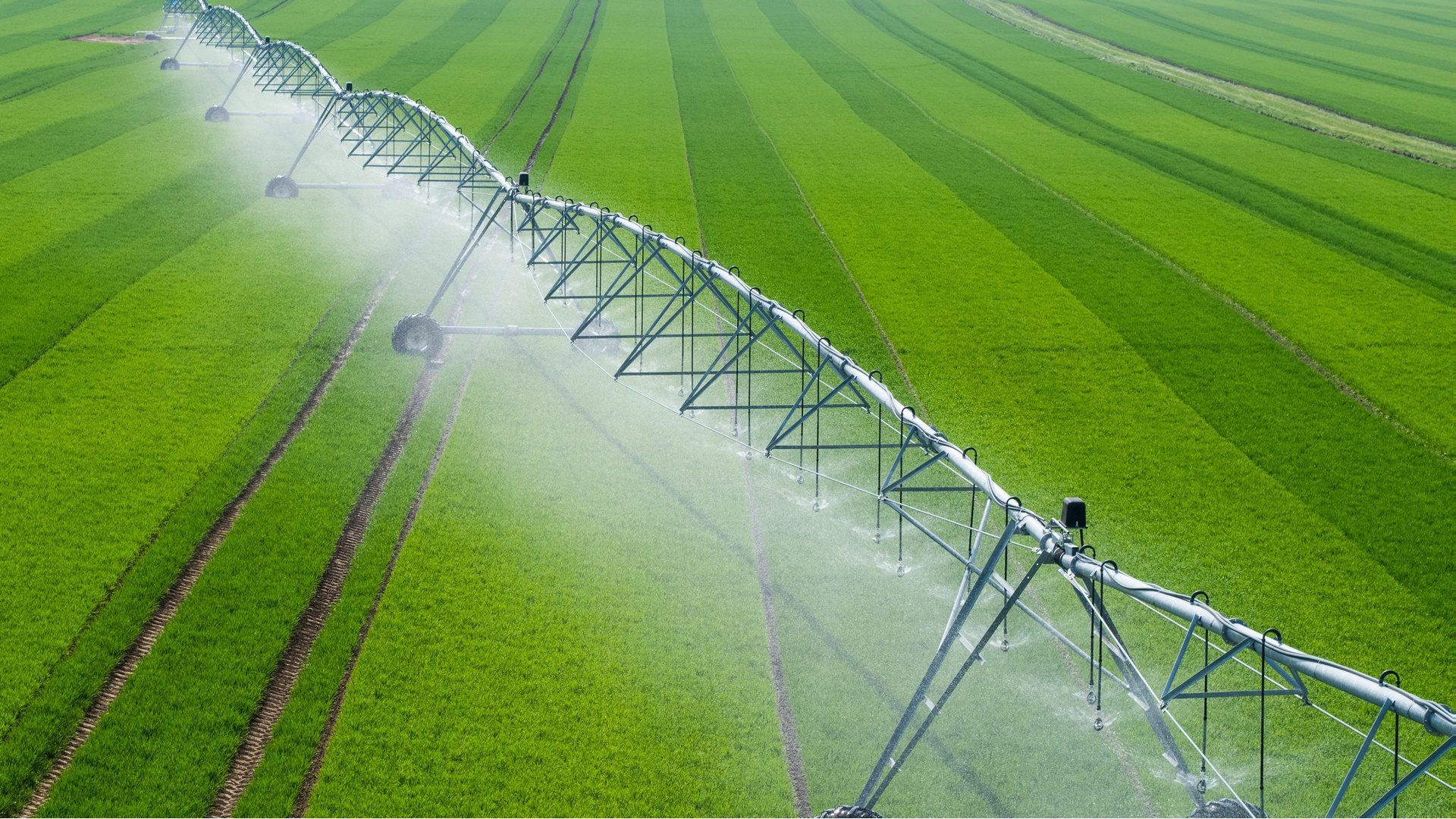 Center Pivot Irrigation System in a green Field