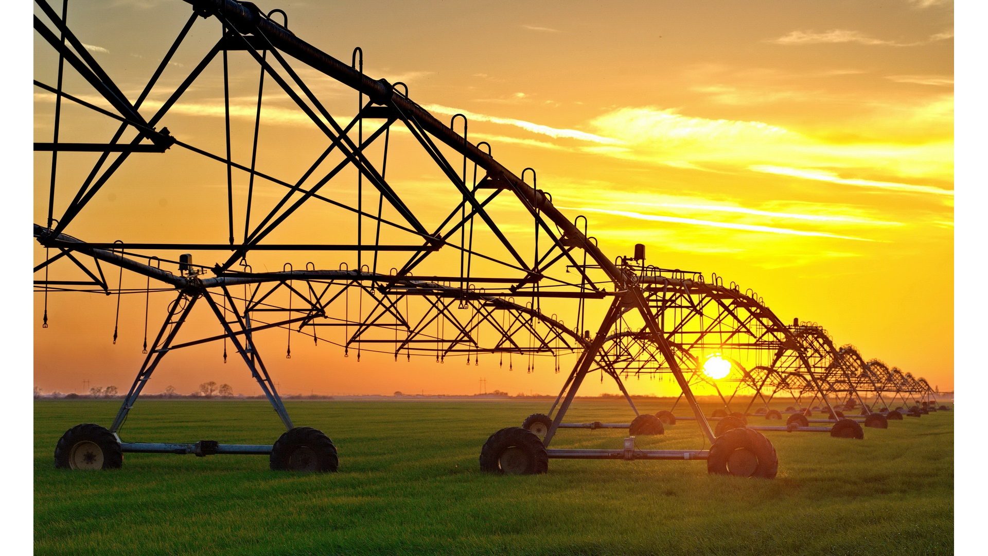 irrigation of a field in sunset