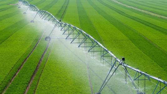 Center Pivot Irrigation System in a green Field